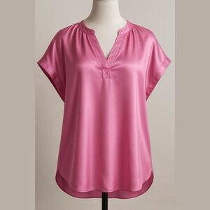 Banana Republic Silk Dolman Sleeve V Neck Pink Blouse Size X-Large NWT